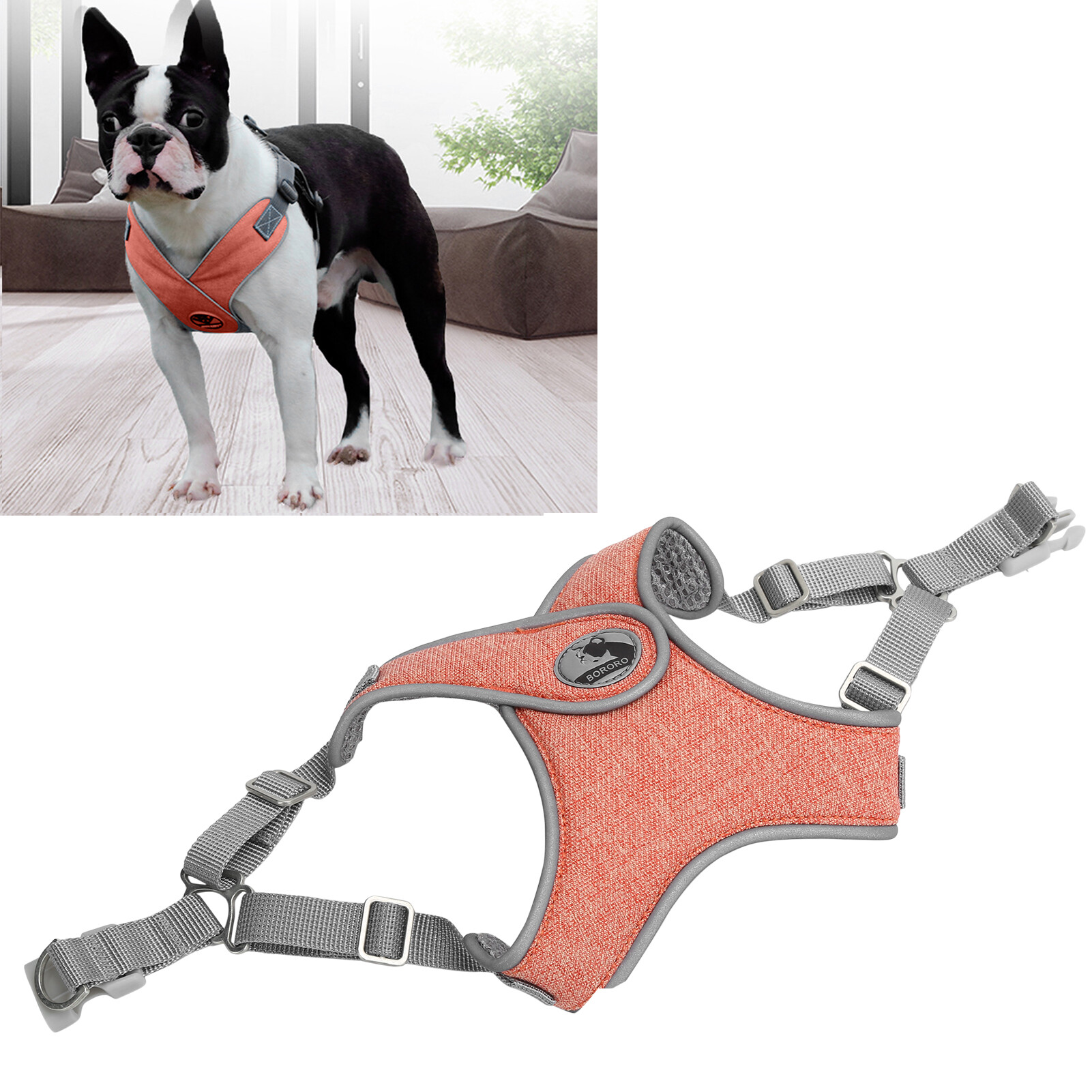 novelty dog harness