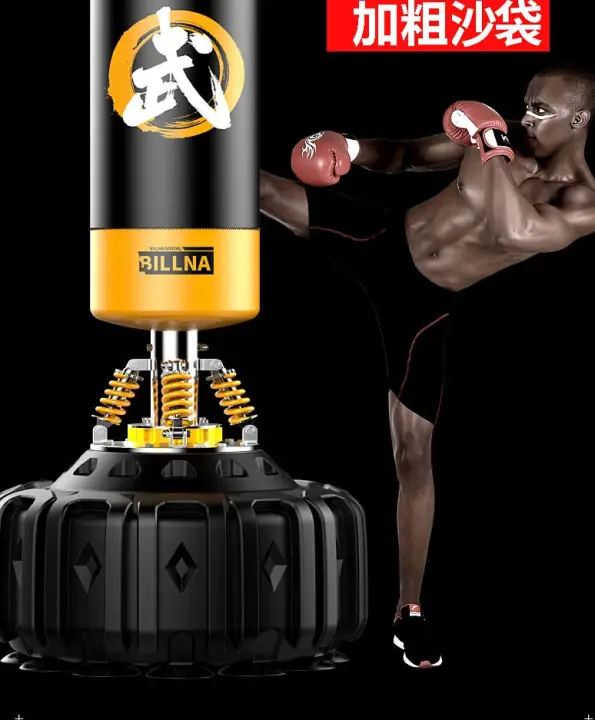 non hanging punching bag