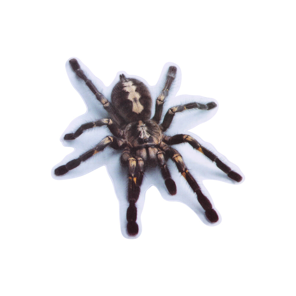 3D Spider Lizard Scorpion Car Sticker 3D Animal Pattern Vehicle Window Mirror Bumper Decal Decor Water-resistant High Stickiness