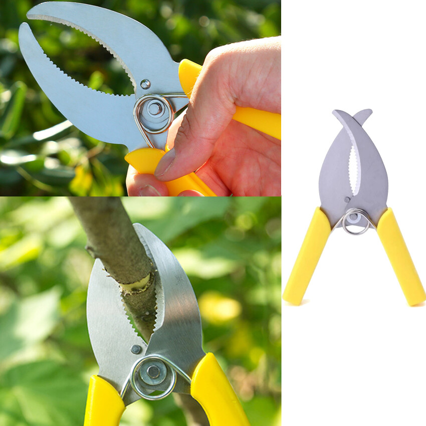 1pc Fruit Tree Ring Cutting Shears Stainless Steel Gardening Pruning Shears Cutting Bark Ring Peeling Scissors Garden Tools