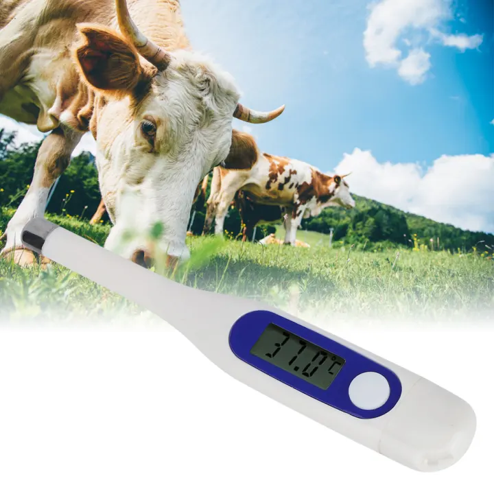 Animal Thermometer Veterinary Electronic Thermometer LCD Digital for Cattle Sheep Horses Pigs Dogs Use