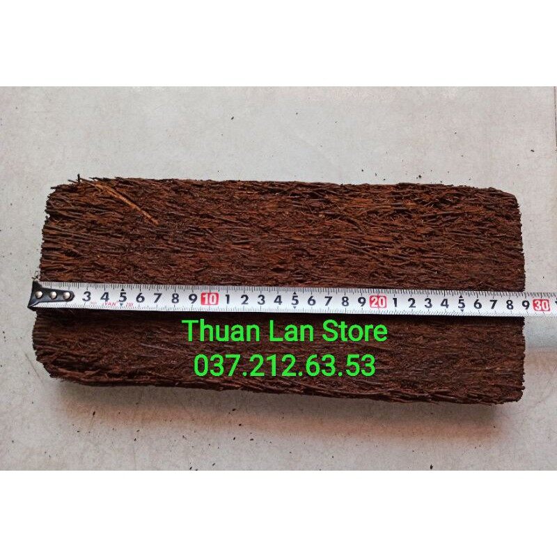 Dớn bảng trồng lan dài 15×30cm