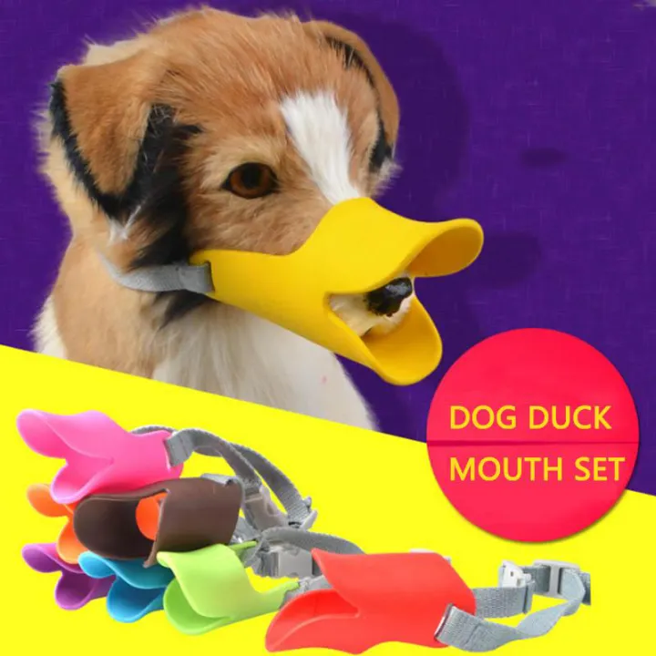 duck muzzle