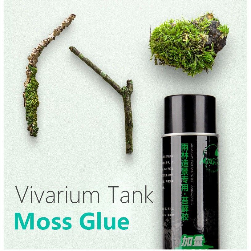 MIUS Moss glue Rain forest water and land water tank Moss special glue