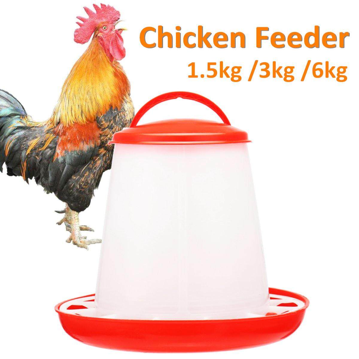 Chicken Feeder Drinker Poultry Feed Water Waterer Automatic Drink