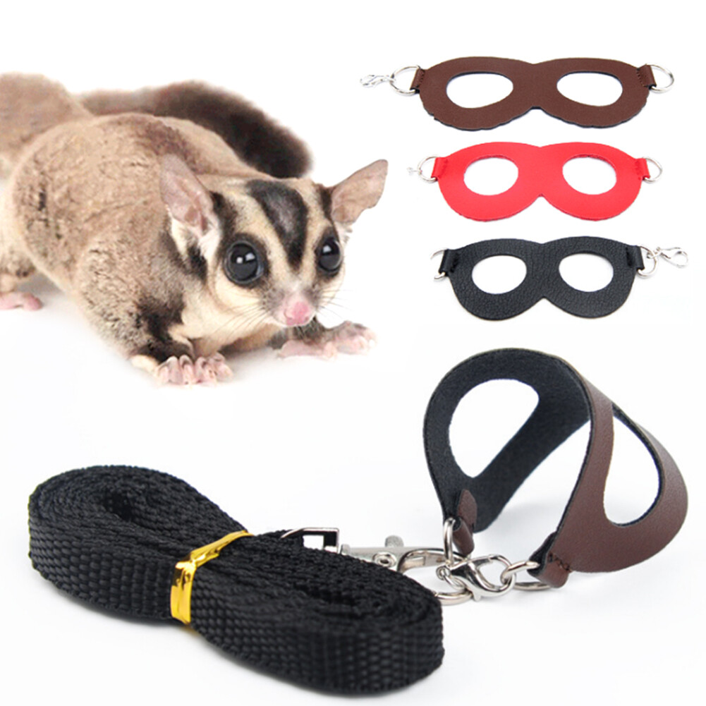 sugar glider leash