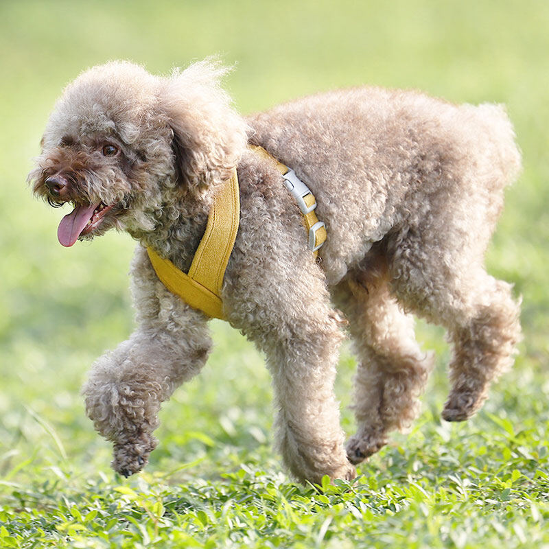 HamshMoc Soft Dog Harness and Leash Set Adjustable Pet Harness Comfortable with Easy Control Handle for Small Medium Dogs