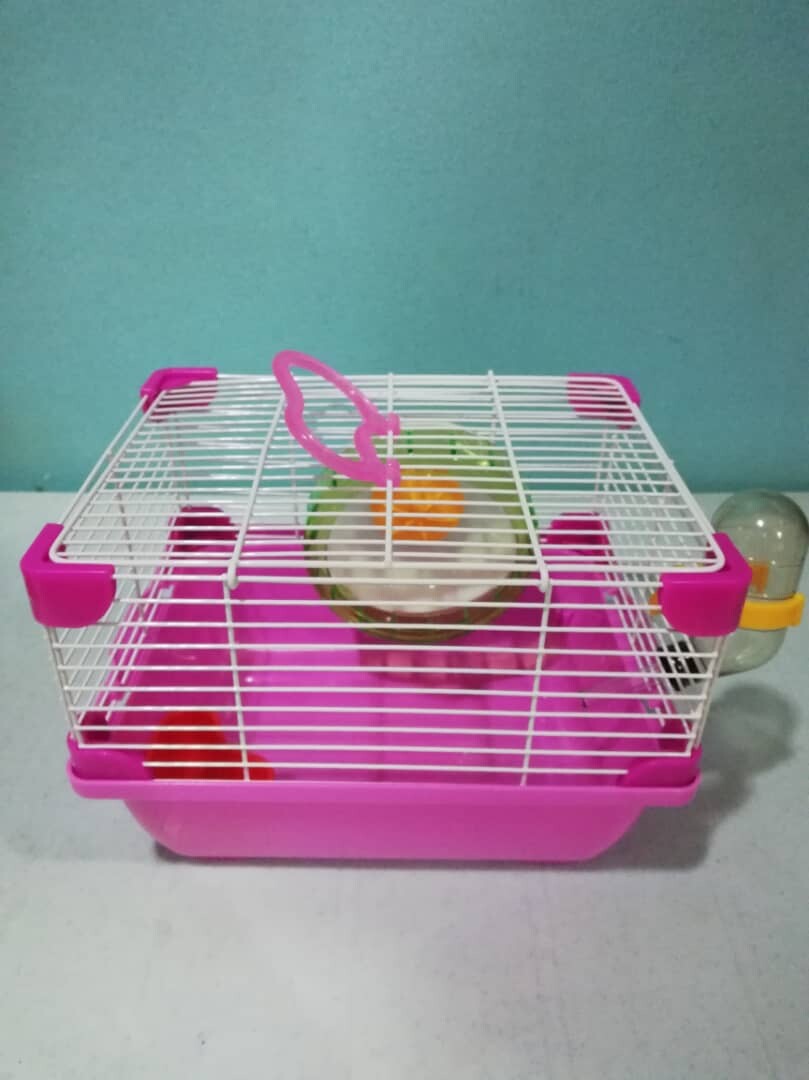 princess hamster cage