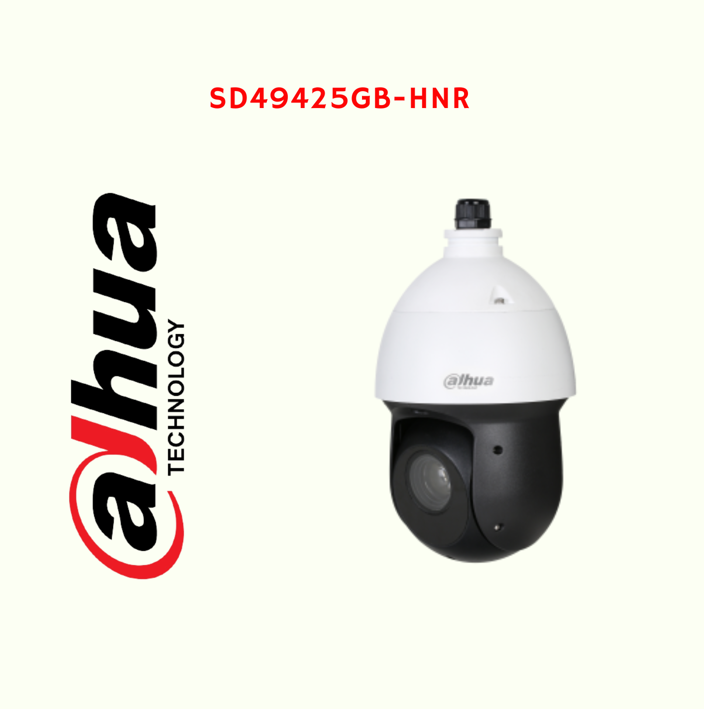 dahua ip66 camera