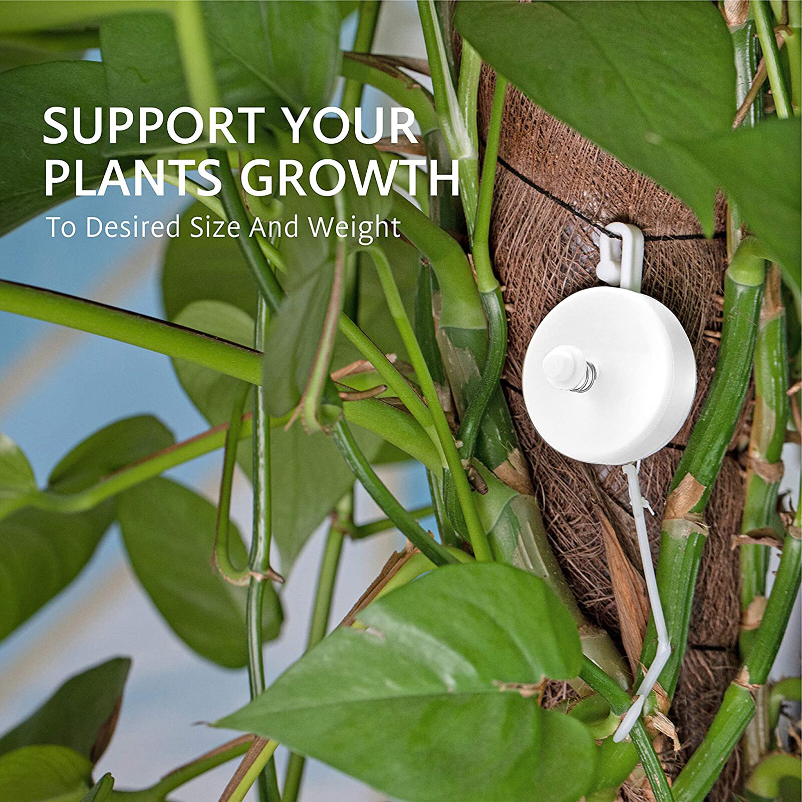 10Pcs Plant Yoyo Hanger With Stopper Adjustable Length Buckle Design High Toughness Convenient