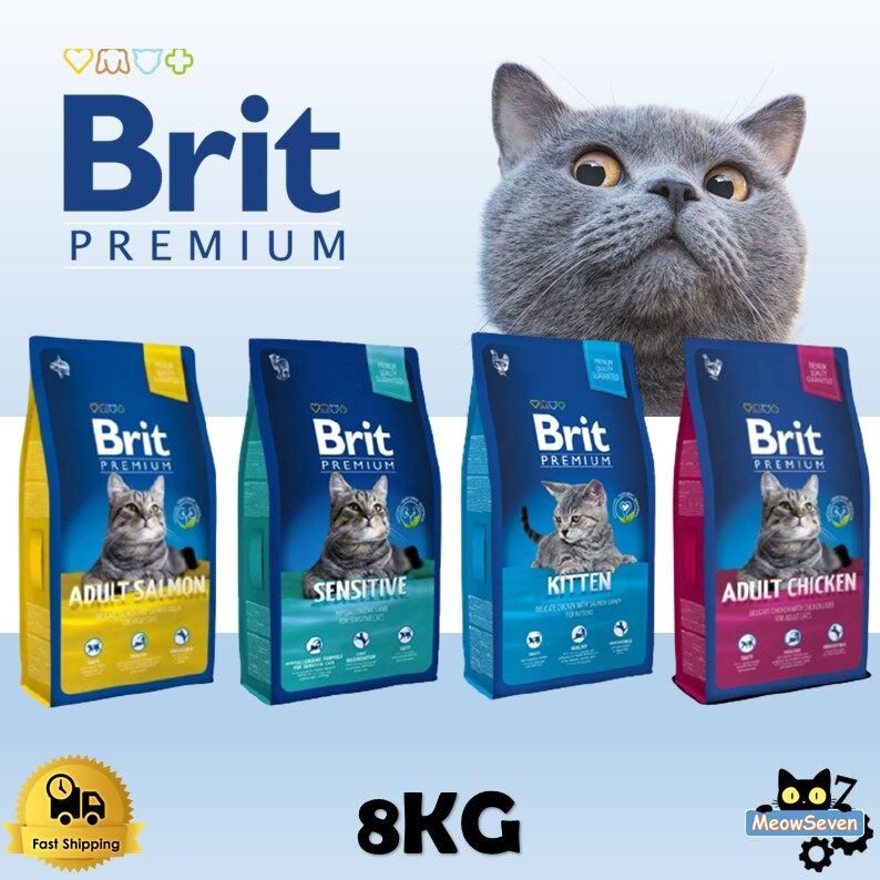 brit premium cat adult salmon