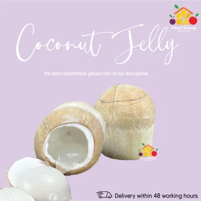 [PBS Pasar Borong Selayang] Halal Fresh Pandan Coconut Jelly/ Kelapa Jeli (Ready Stock)