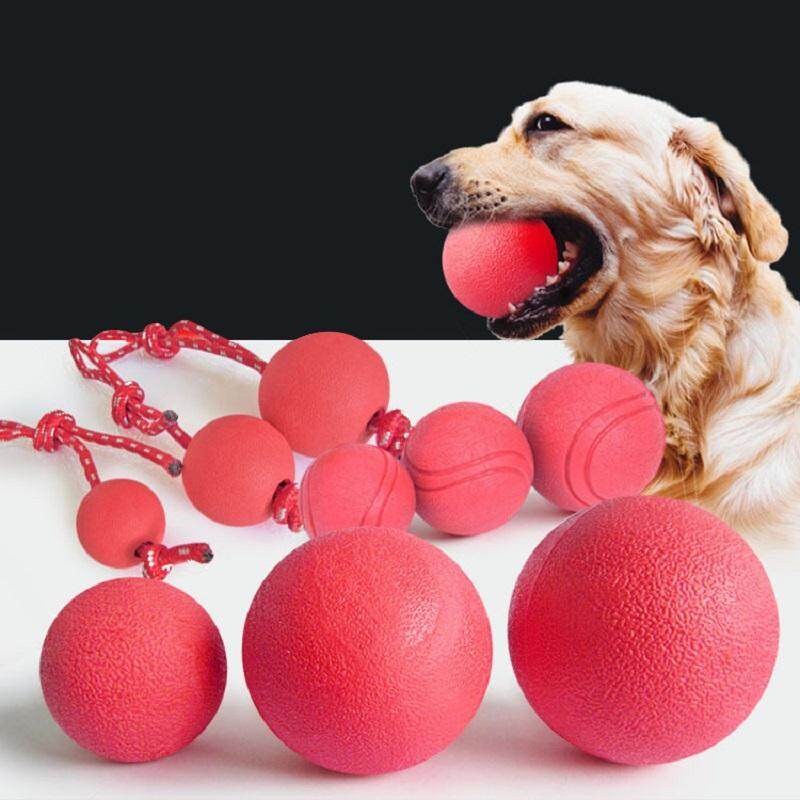 Indestructible Dog Toys Wow Blog
