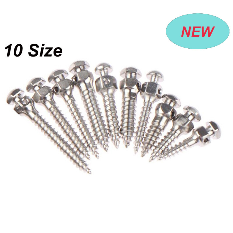 High Quality Dental Tools Mini Screw Dental Lab Accessory