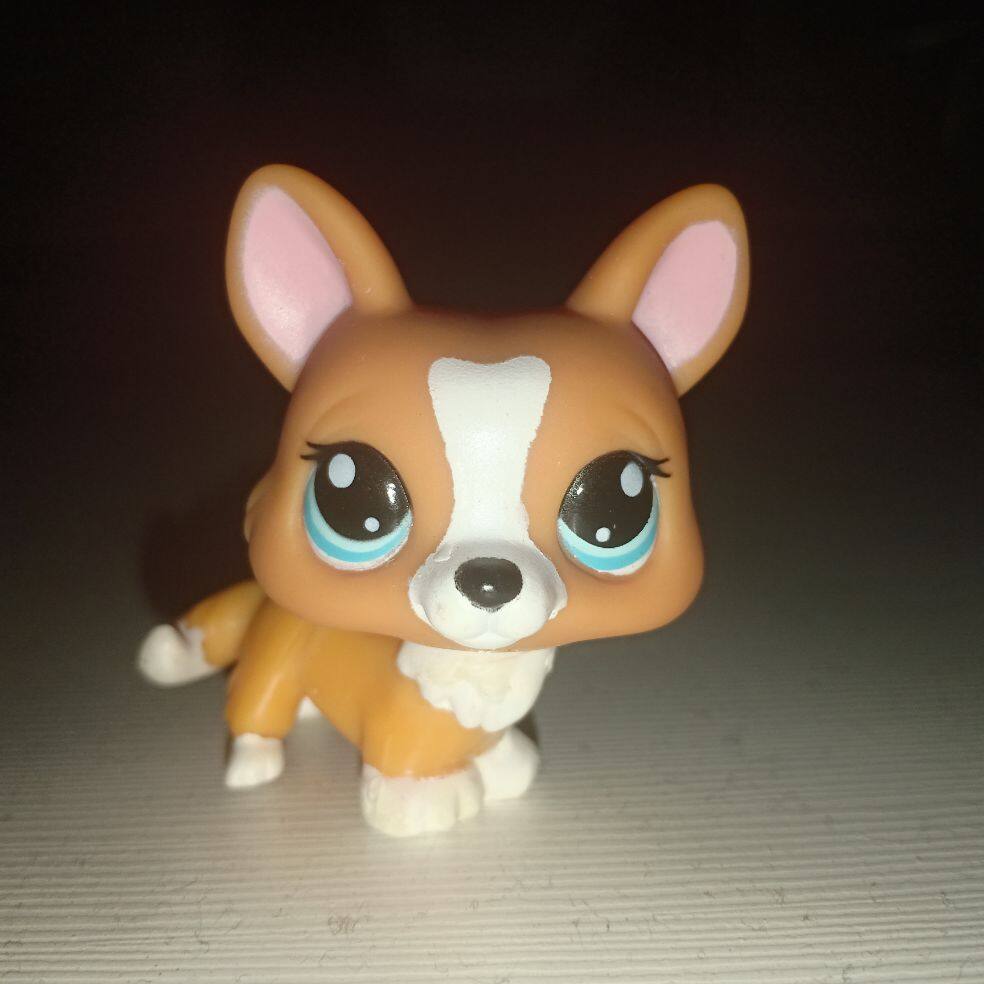 littlest pet shop corgi