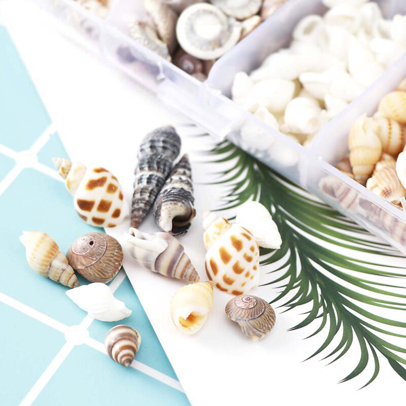 QIA About 100Pcs/Box Natural Conch Shells Aquarium Landscape Seashells Crafts Decor
