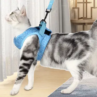 cat harness lazada