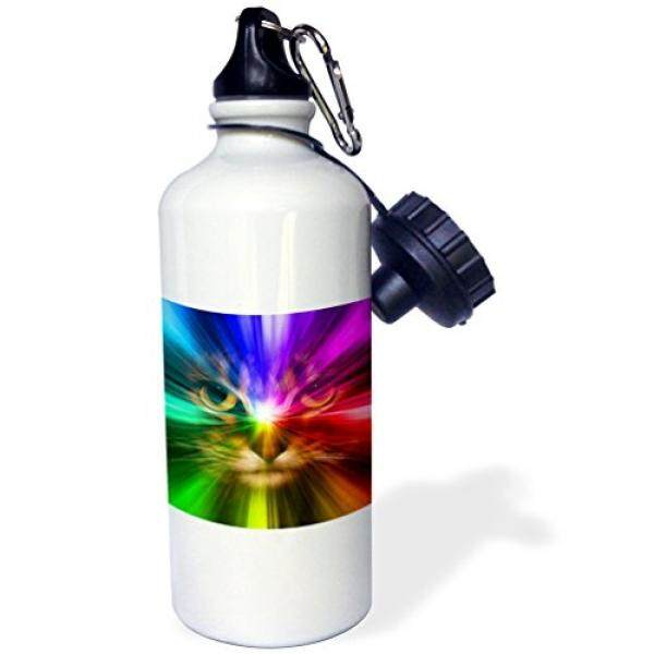 3dRose wb_18499_1 Domestic Cat Surrounded with a Rainbow of Colors Sports Water Bottle, 21 oz, Brown - intl