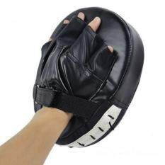 Sport Martial Arts Sanda Muay Thai Boxing Gloves Training Equipment Strike Pads – intl
