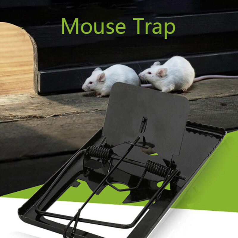 top mice traps