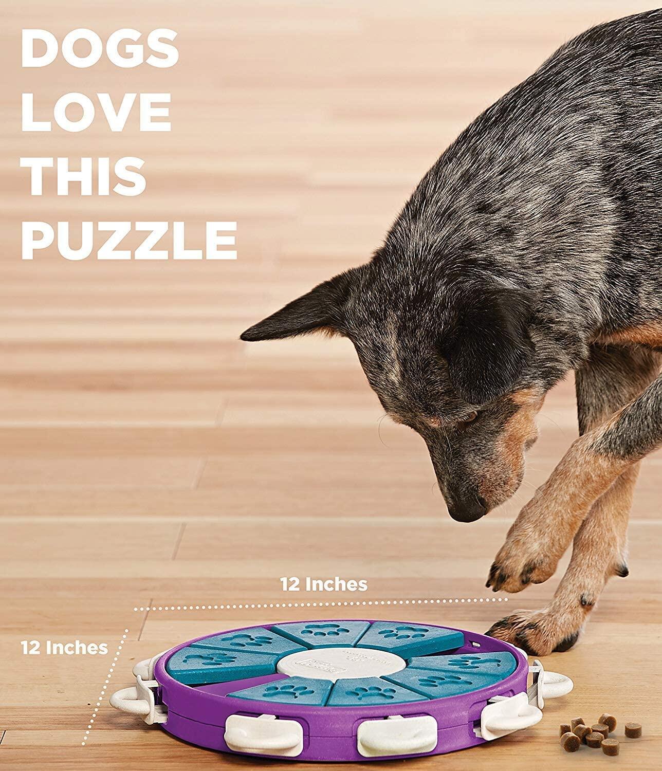 kyjen dog puzzles