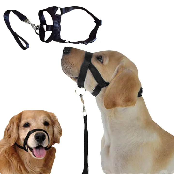 dog mouth strap