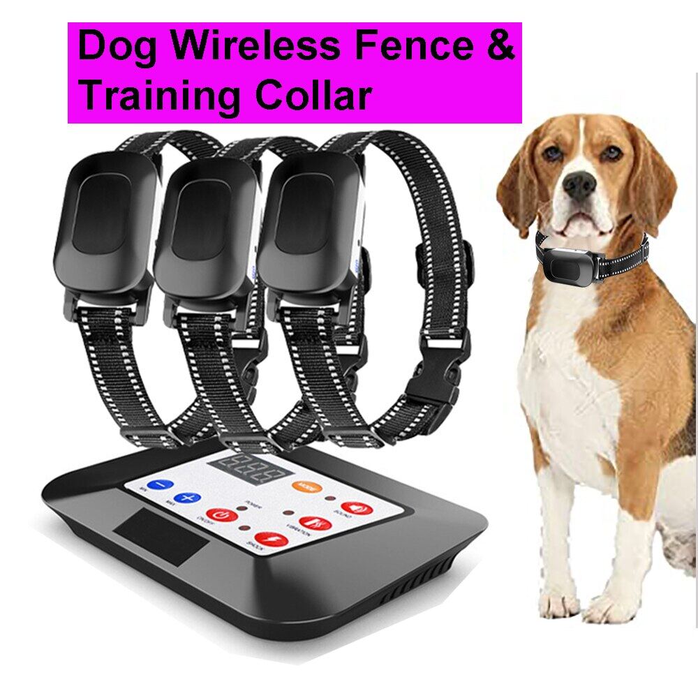 dog leash training collars