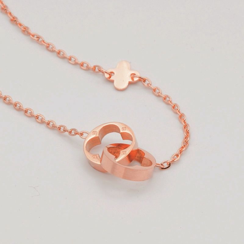 RAISS Choker Necklace Hollow Model Design Sheet Semicolor Rose Gold Titanium Steel Material For Women