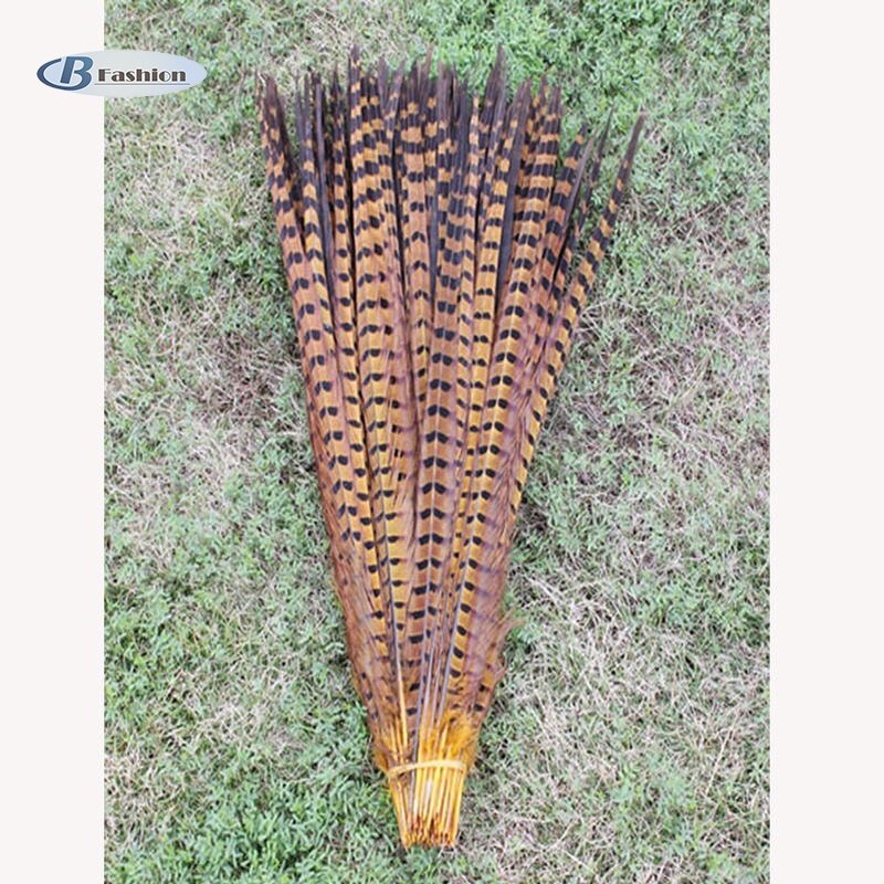 B-F 10 Root Beautiful Pheasant Feather Multicolor Handwork Ornaments 30-35cm