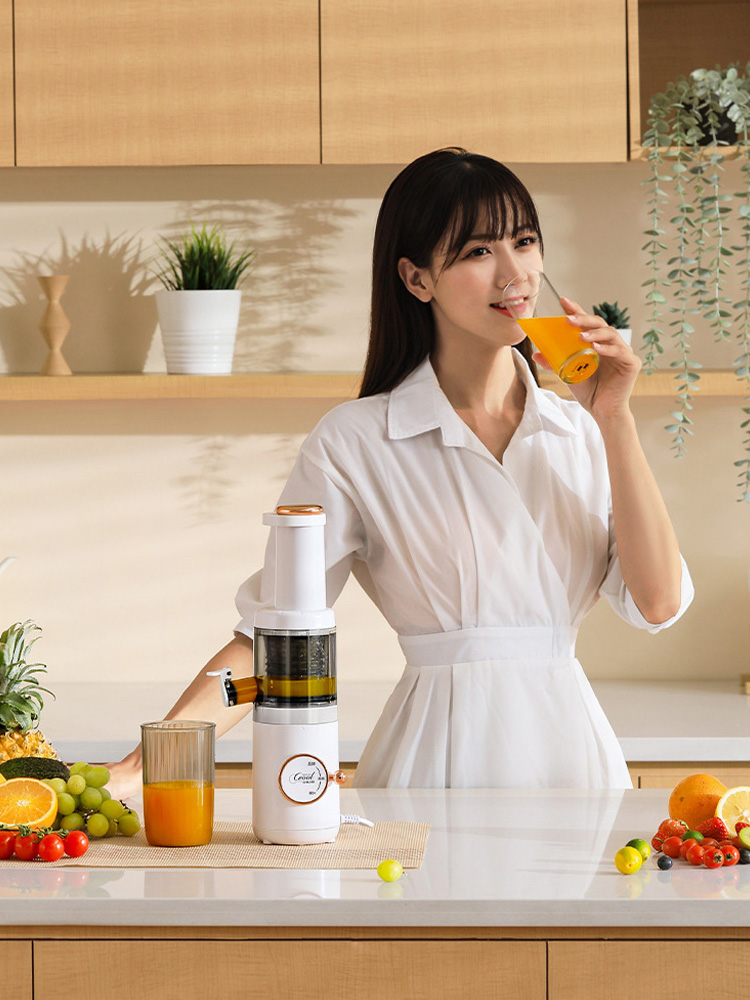 KAIMEIDI Juicing separation slag juicer juicer fruit and vegetable slow juicer multi-functional household small juicer