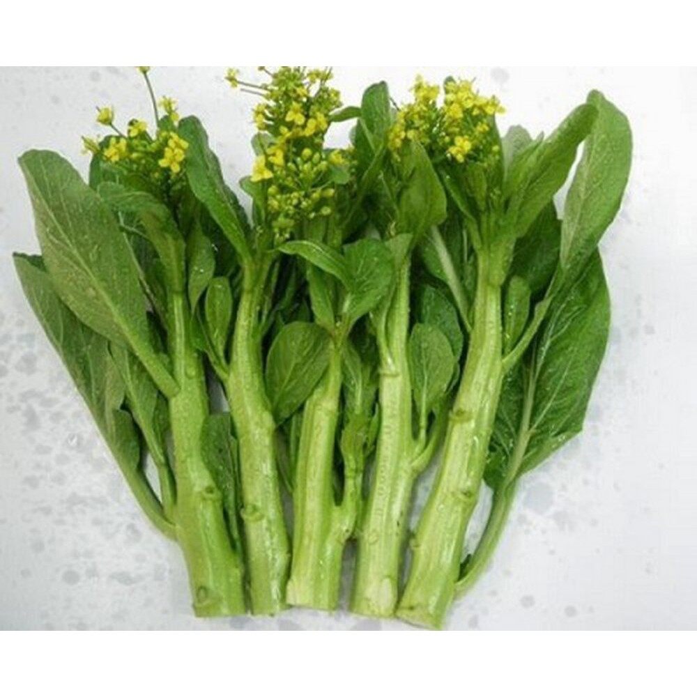 - Gói 20g hạt giống cải ngồng Nanuseeds