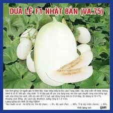 Hạt giống dưa lê nhật bản gói 1g