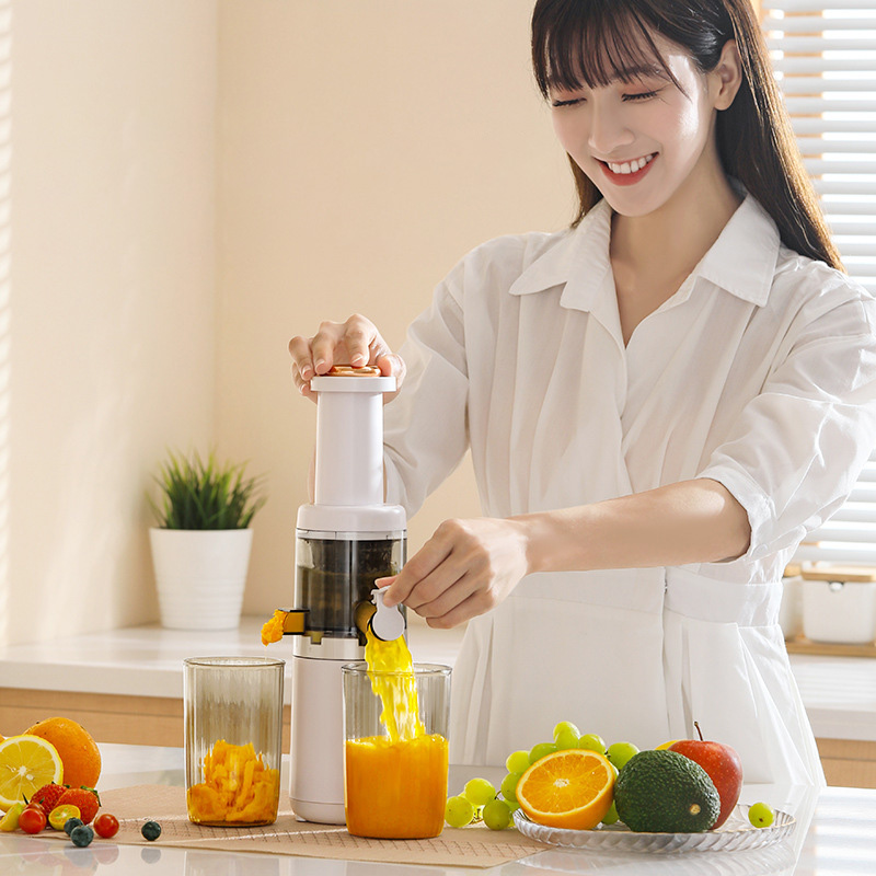 KAIMEIDI Juicing separation slag juicer juicer fruit and vegetable slow juicer multi-functional household small juicer