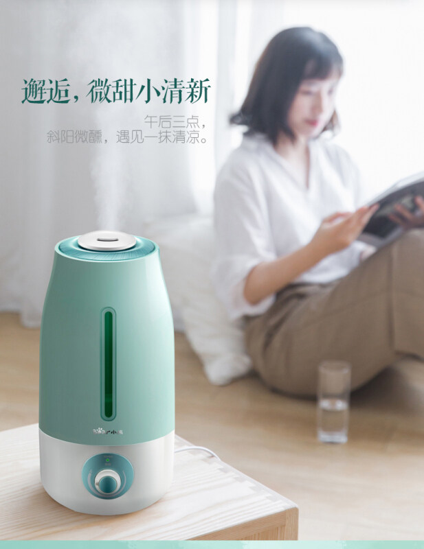 Bear humidifier household mute bedroom aroma diffuser small pregnant women and babies large fog volume purifying air humidifier Singapore