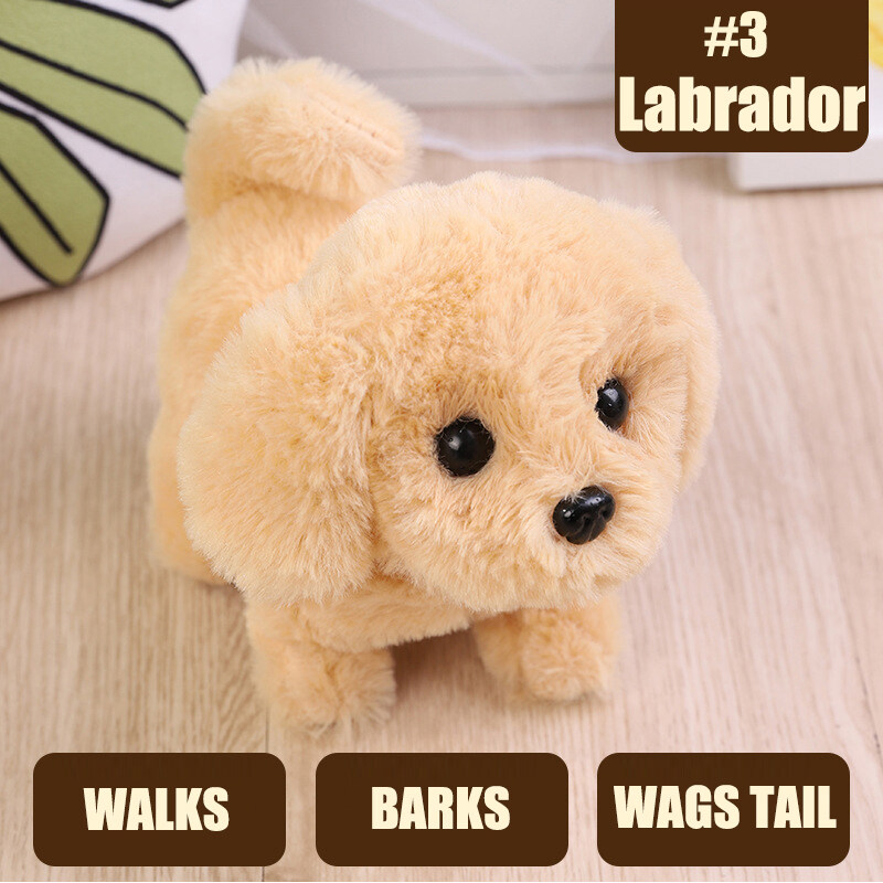 little toy dog that barks