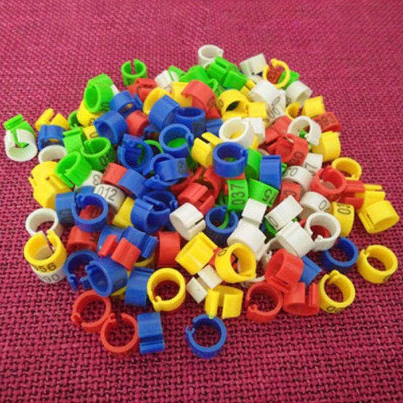 Thú cưng Chim Bồ Câu Vòng Chân 100 Con Chim Bồ Câu Vòng Chân với Từ Đánh Dấu
