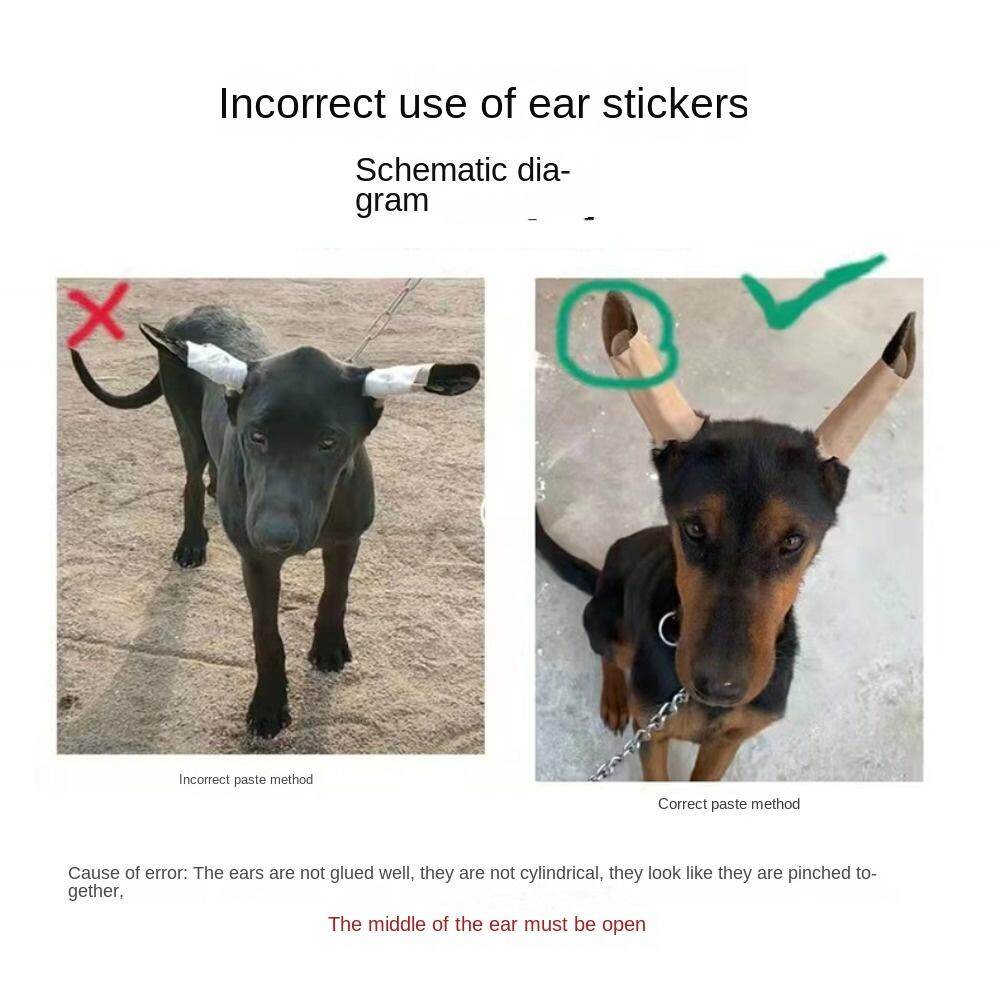 DFSID Self-adhesive Support Doberman Pinscher Dog Correct Ear Erector Dog Supplies Dog Ear Stand Up Stickers Dog Ear Erector Ear Care Tools