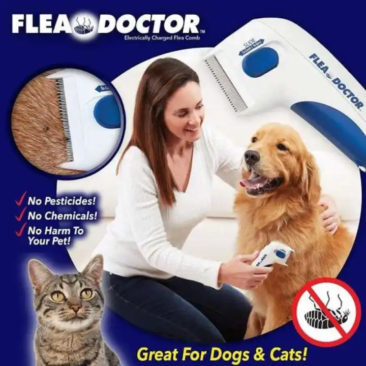 professional flea treatment for cats