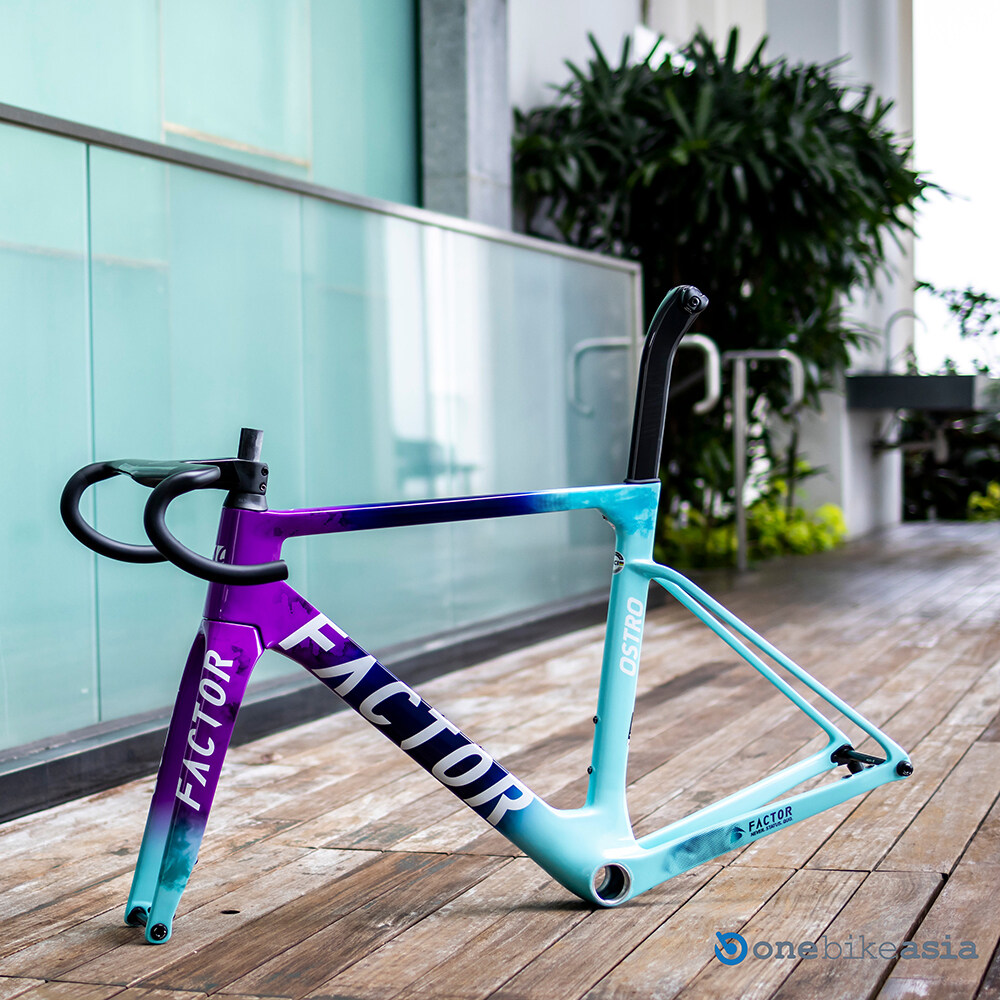 toray bike frames