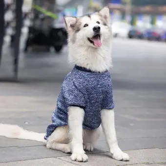 pet clothes for large dogs