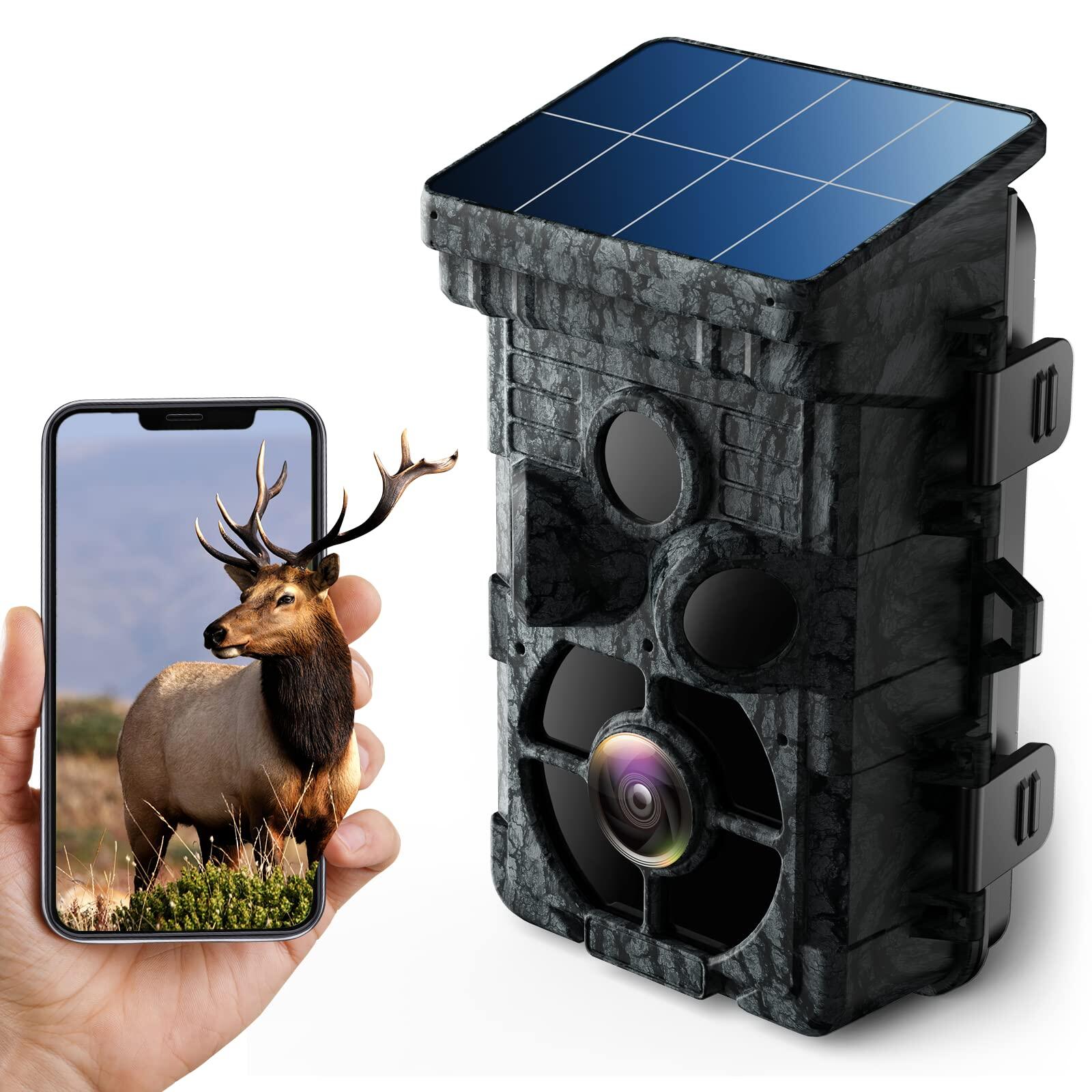 night time game camera