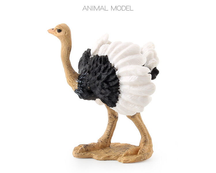 Children's Science and Education Cognitive Bird Model Simulation African Ostrich Solid Bird Farm Static Ornaments PVC Miniature Collection Toys Educational Kids Toy Toys for Boys Toys for Girls