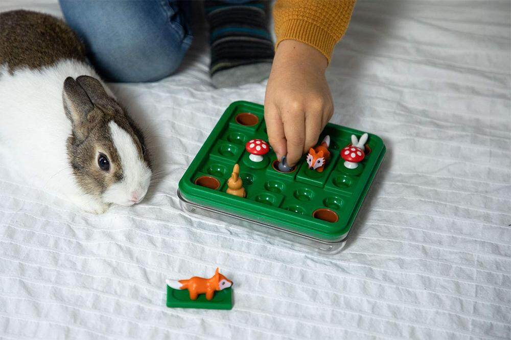 Smart game Jumping Rabbit Board Games Bảng Thỏ Nhảy Trò Chơi Thông Minh Trò Chơi Thỏ Chạy Thử Thách 60 Với Giải Pháp Trò Chơi Tương Tác Gia Đình Đồ Chơi Huấn Luyện IQ