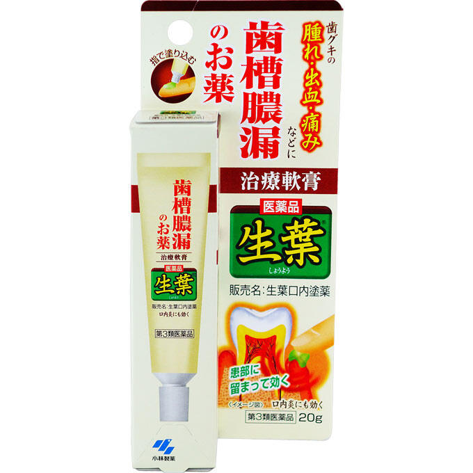 Kobayashi Pharmaceutical Seiha Mouthwash 20g Alveolar pyorrhea