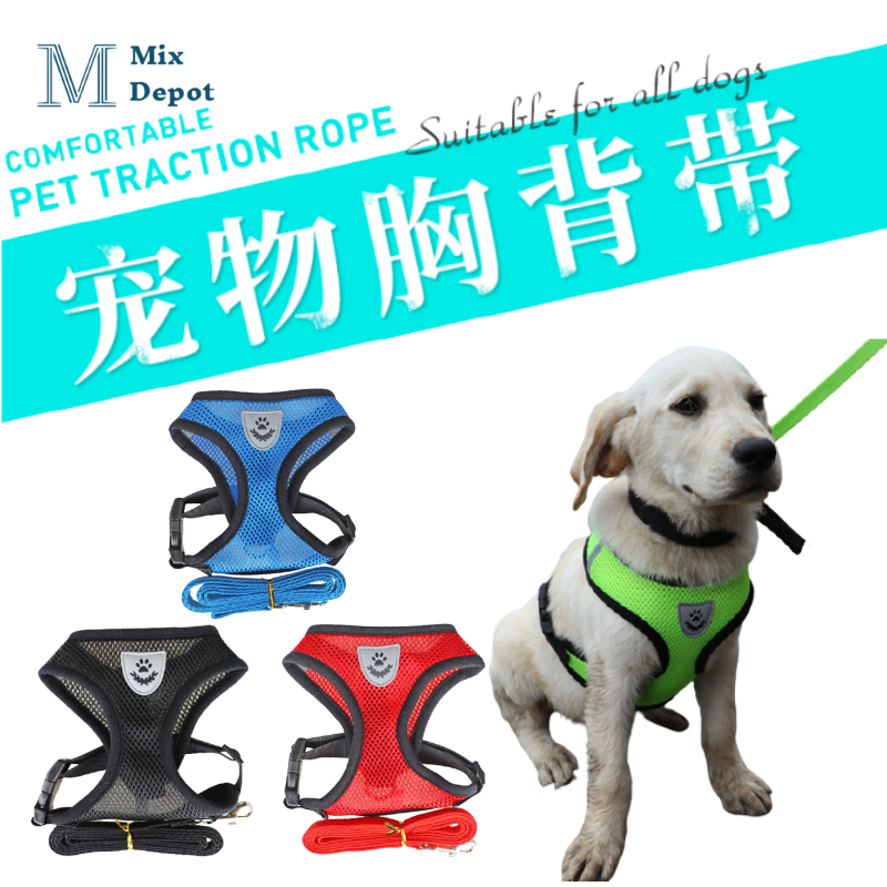 cesar millan harness instructions