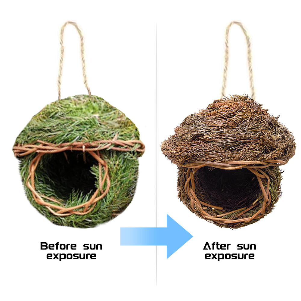 Ryoizen Tổ chim bện dạng treo độc đáo - INTL