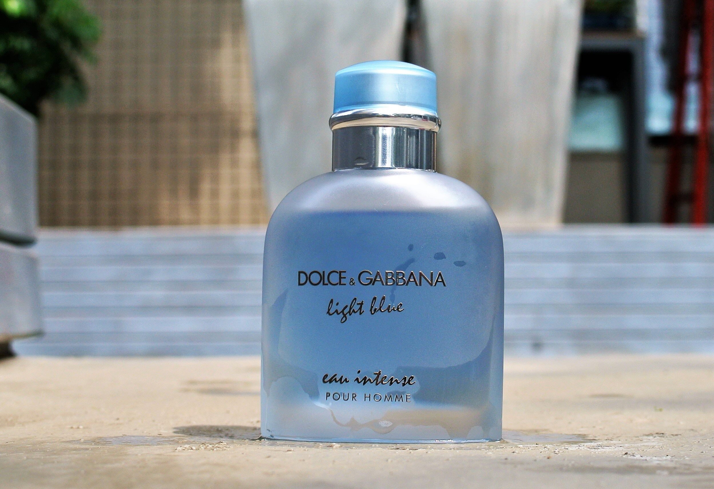 dolce & gabbana light blue eau intense pour femme