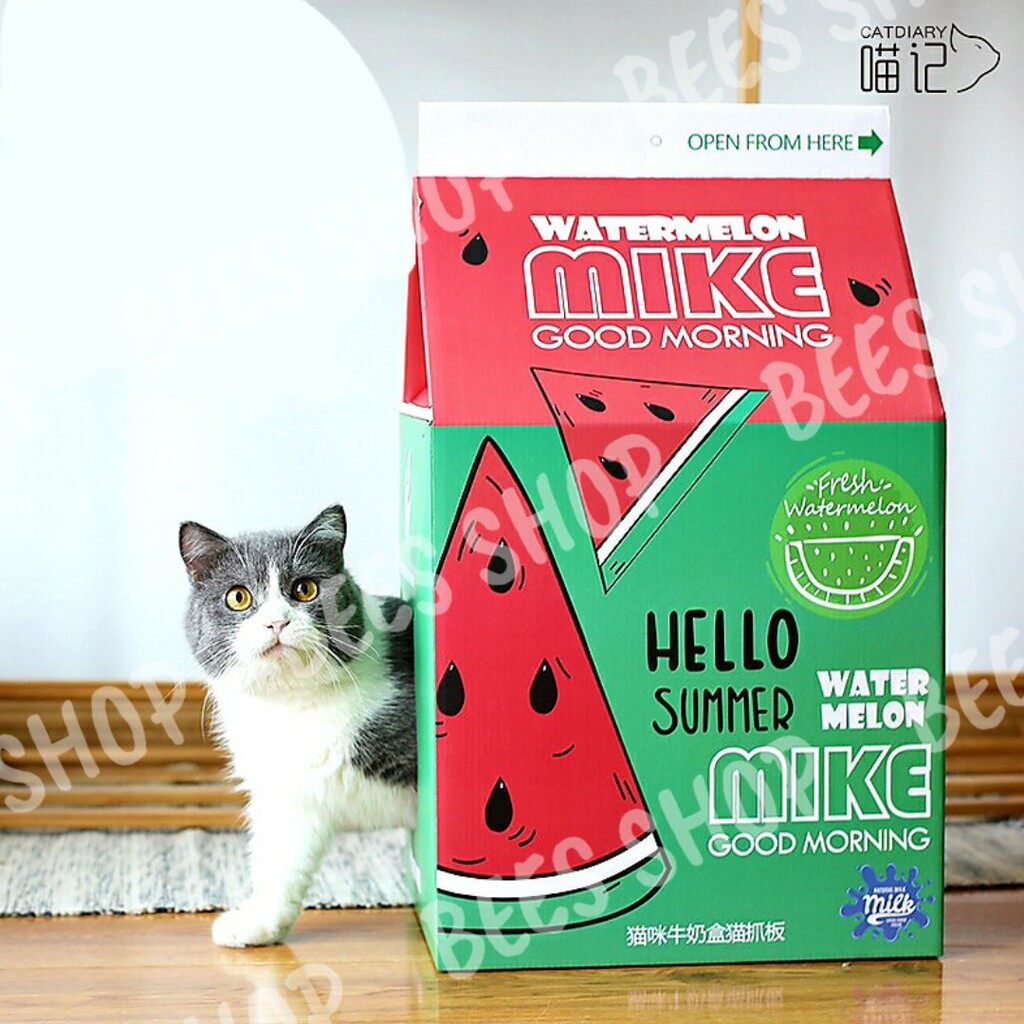 Beli accessories playground kucing Pada Harga Terendah  Lazada.com.my