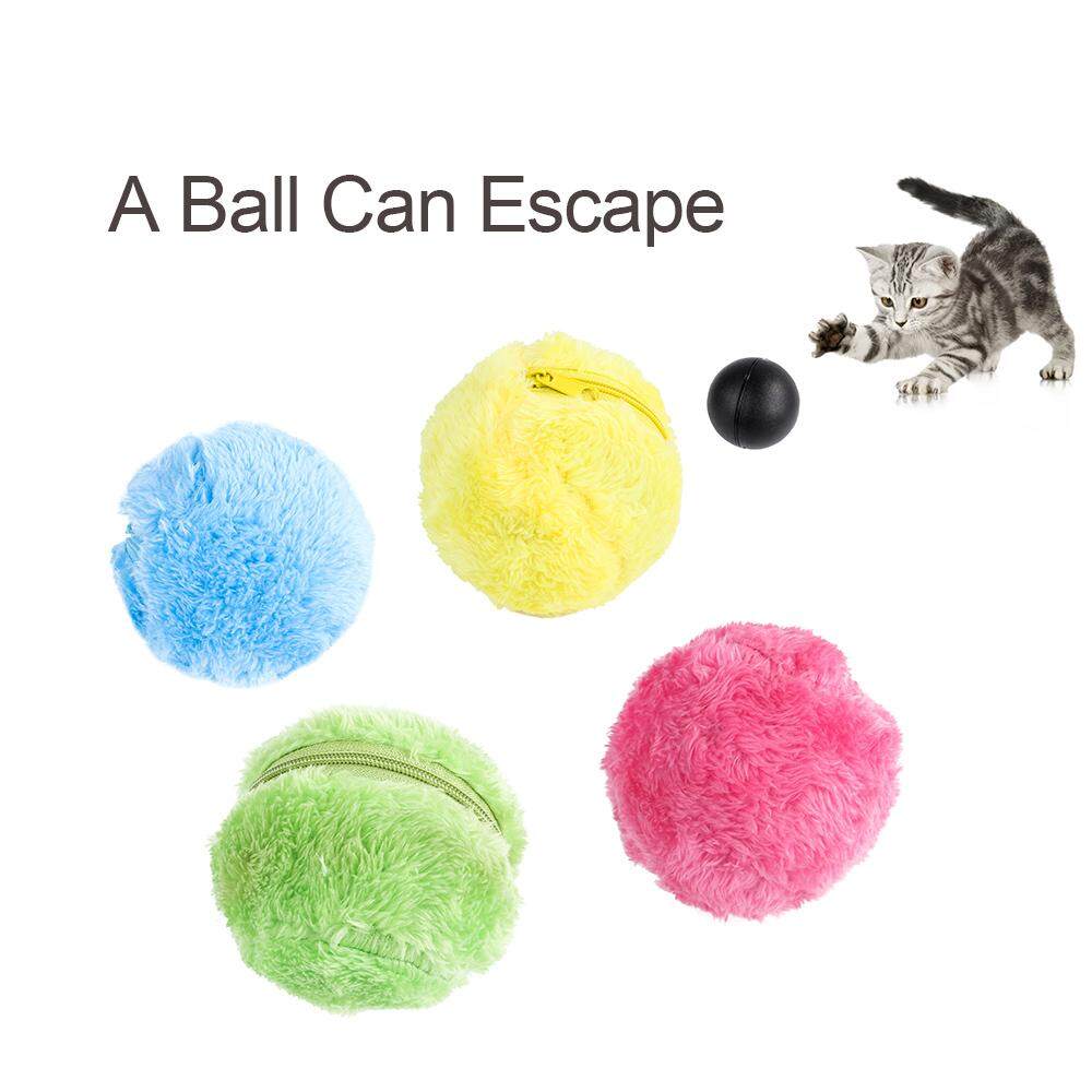 motion activated cat toy