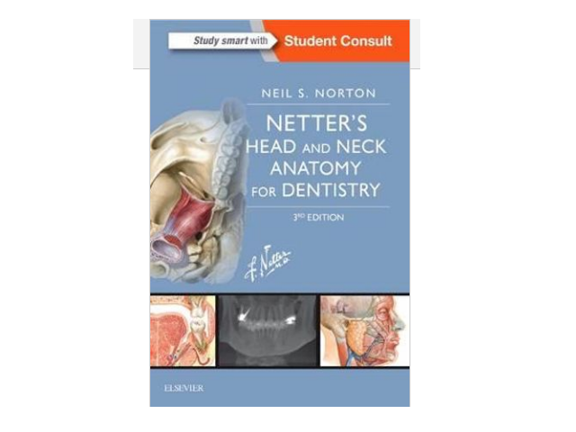 Netter’S Head And Neck Anatomy For Dentistry, 3E (Netter Basic Science ...